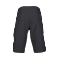 Defend Shorts