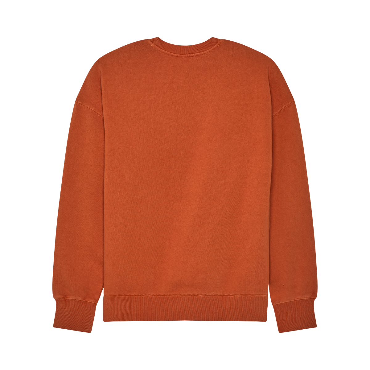 Wordmark Oversized Crew Pullover