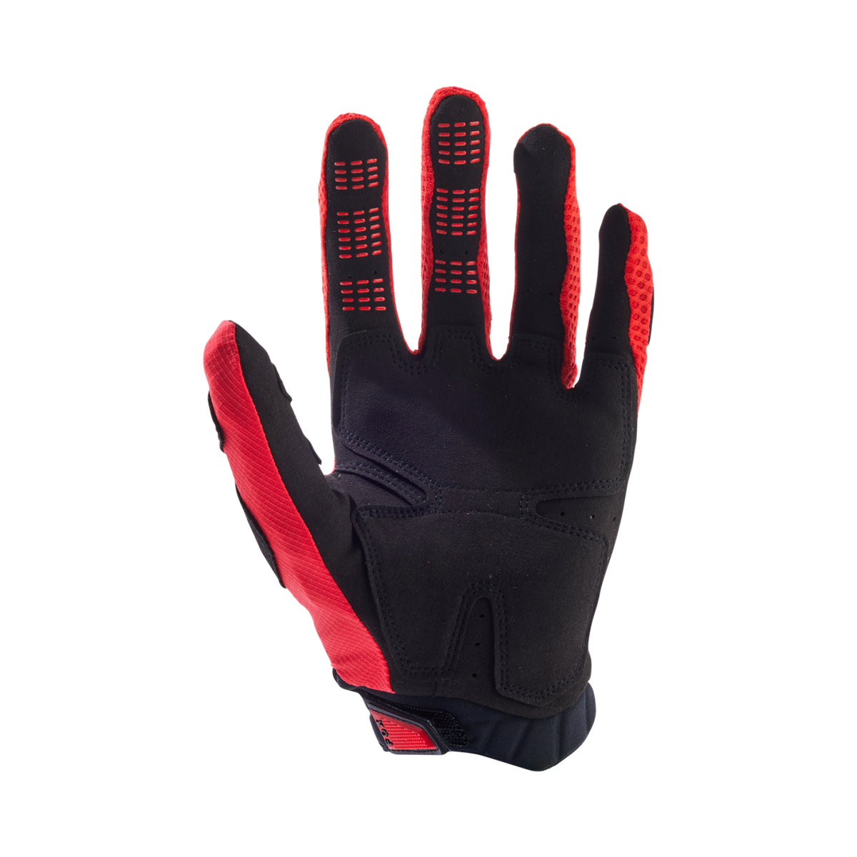 Pawtector Gloves